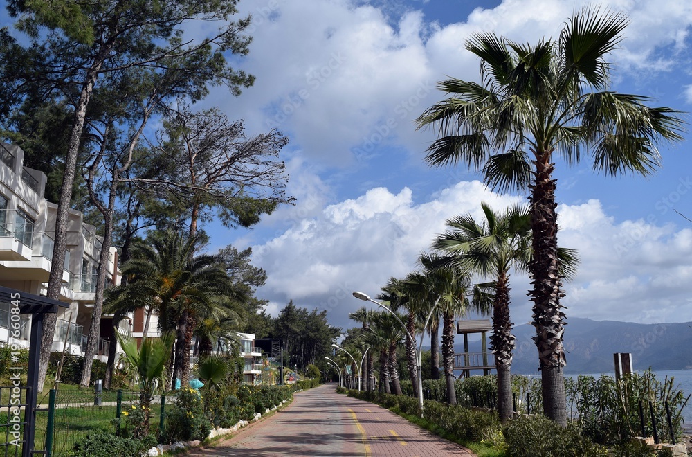Street in palm trees.Icmeler.Marmaris.Turkey	