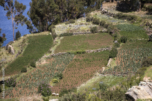 Isla del Sol on lake Titica...