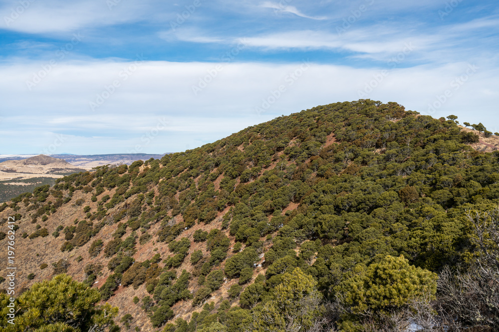 Obraz premium Capulin Volcano National Monument
