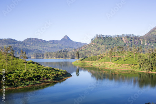 beautiful landscape of sri lanka. river  mountains and tea plantations
