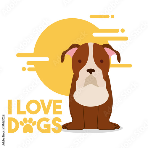 love dog sitting pet domestic animal vector illustration