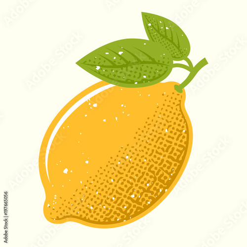 Yellow lemon with green leafs color illustration