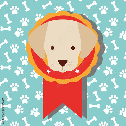 cute dog show medal with winner of dogs competition with bones background vector illustration