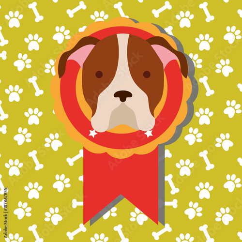 cute dog show medal with winner of dogs competition with bones background vector illustration