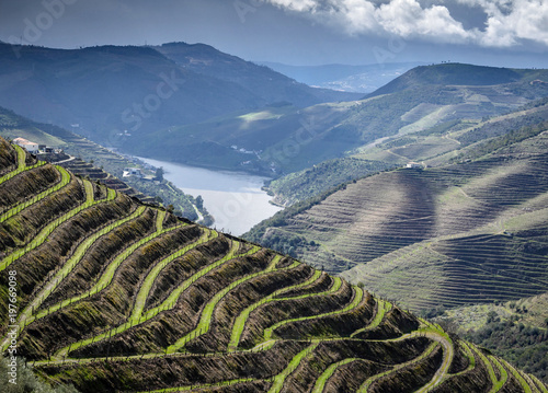 Quadro em tela Das Douro-Tal im Norden von Portugal