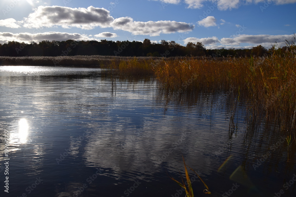 Fototapeta premium seaside