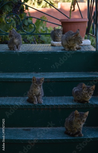 Be Careful, Children