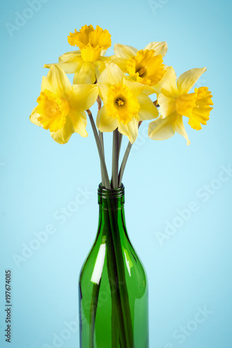 Fototapeta Naklejka Na Ścianę i Meble -  daffodils in green bottle
