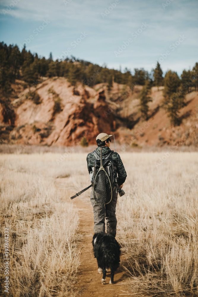 Rear view of male hiker with dog walking on field against sky Rear view of male hiker with dog walking on field against sky