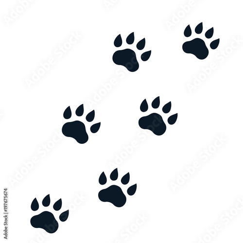 paw footprints on white, vector