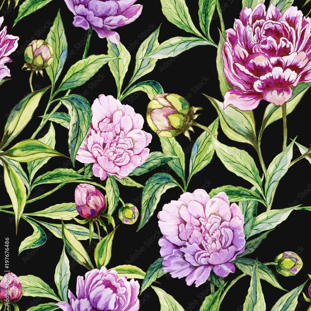 Beautiful purple peony flowers with green leaves on black background. Seamless floral pattern. Watercolor painting. Hand drawn illustration.