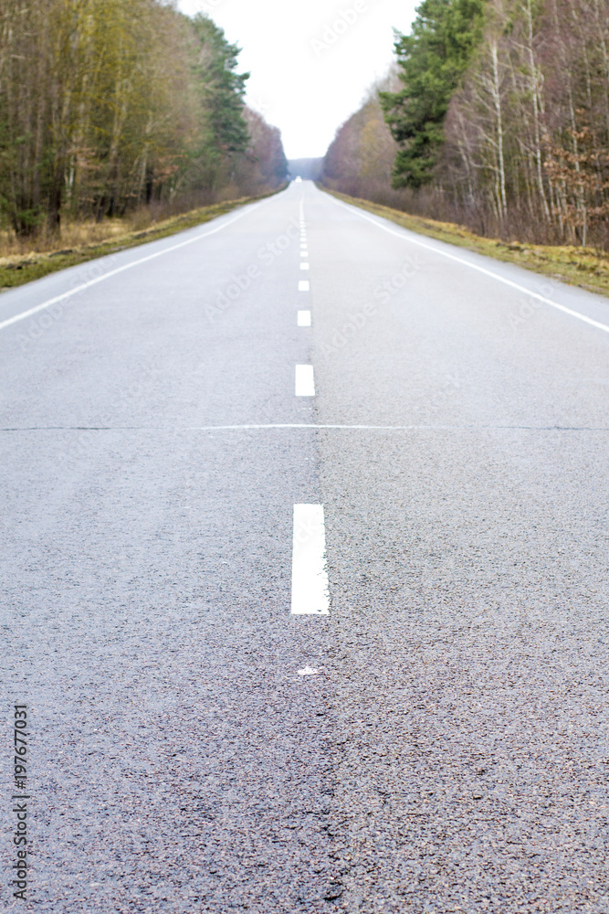 Old asphalt road. Asphalt road and spring forest Old asphalt road. Asphalt road and spring forest