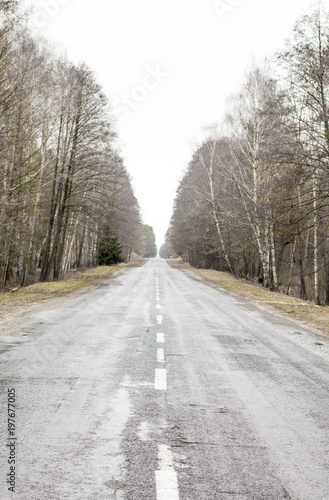 Wallpaper Mural Old asphalt road. Asphalt road and spring forest Torontodigital.ca
