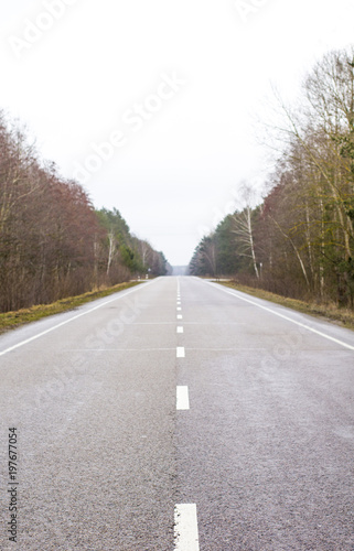 Old asphalt road. Asphalt road and spring forest © ppvector