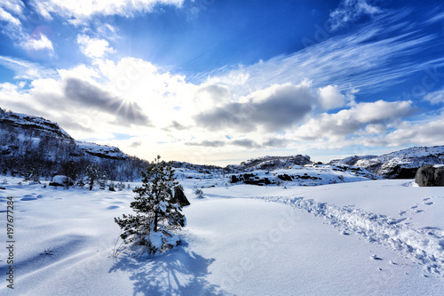 Wallpaper Mural Schneeweg Torontodigital.ca