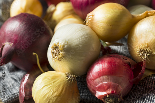 Raw Organic Assorted Pearl Onions