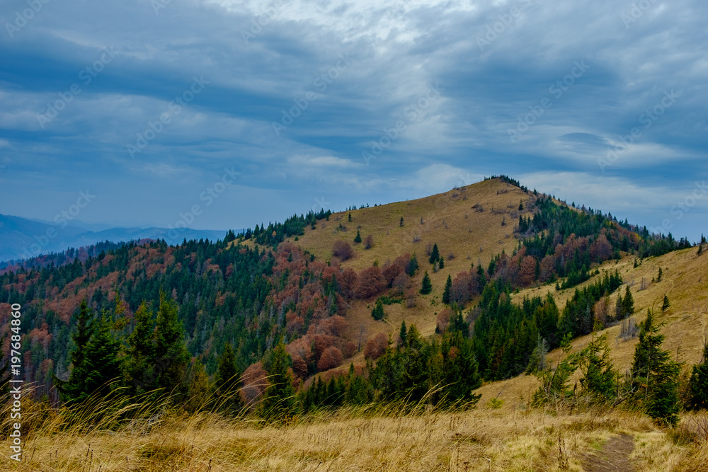 Fototapeta premium Autumn in the mountains