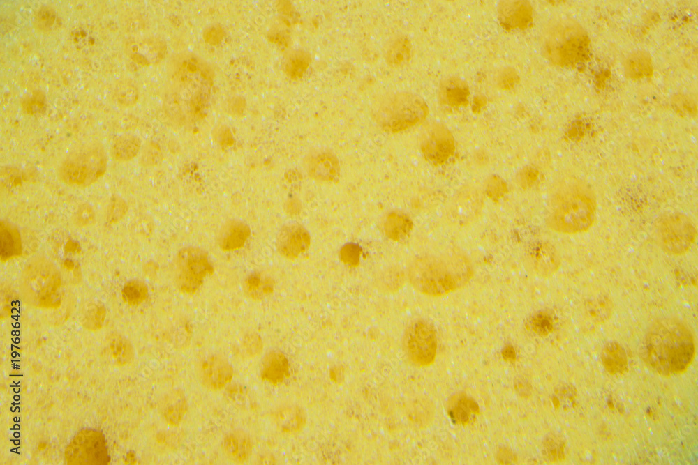 Yellow sponge texture background