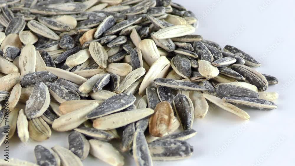 Sunflower Seeds Macro View Sunflower Seeds Macro View