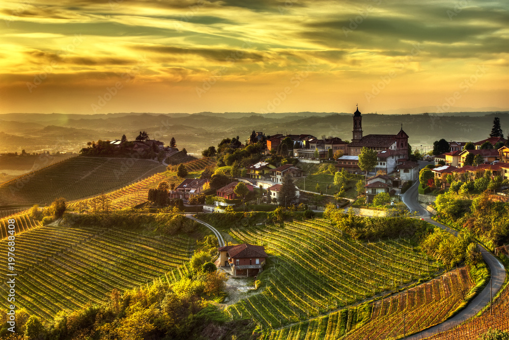 he land of wines – Treiso -- The village of Treiso, in the Langhe (Piedmont, Italy), in the limited production area of the prestigious Barbaresco wine.