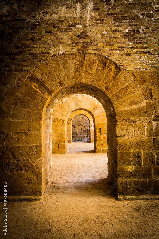 Fototapeta premium Archs in perspective