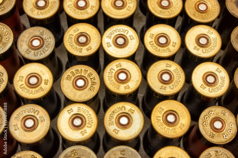 12 gauge plastic cartridge close-up. Background texture combat shells. The concept of hunting and crime 12 gauge plastic cartridge close-up. Background texture combat shells. The concept of hunting and crime