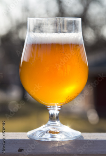 beer in glass vertical