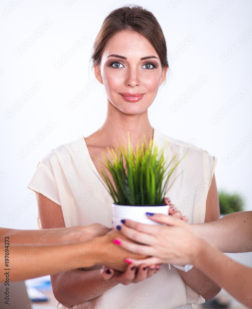 Beautiful woman holding pot with a plant, standing Beautiful woman holding pot with a plant, standing