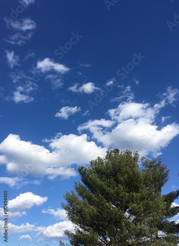 beautiful spring sky with clouds