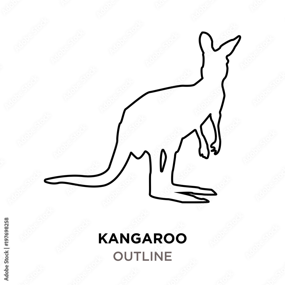 Fototapeta premium kangaroo outline on white background