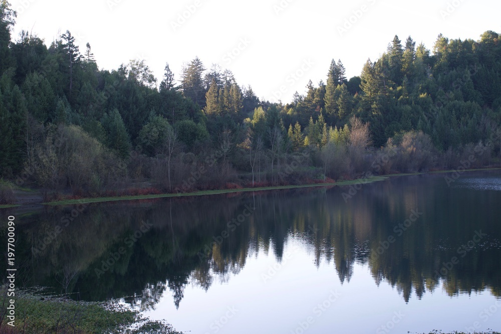 Riverfront Regional Park - Located along the Russian River, Riverfront Regional Park is just minutes from downtown Windsor and Healdsburg and surrounded by classic Wine Country scenery. Spring. 