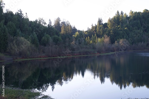 Riverfront Regional Park - Located along the Russian River, Riverfront Regional Park is just minutes from downtown Windsor and Healdsburg and surrounded by classic Wine Country scenery. Spring. 