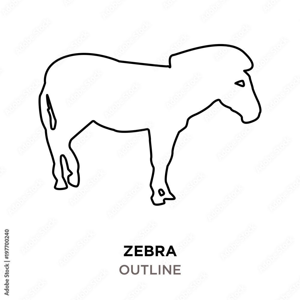 zebra outline on white background zebra outline on white background