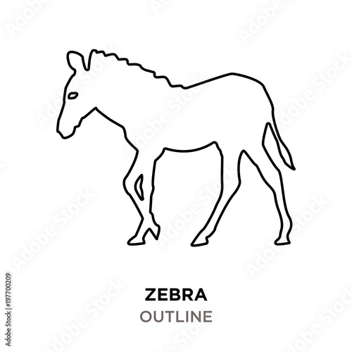 zebra outline on white background