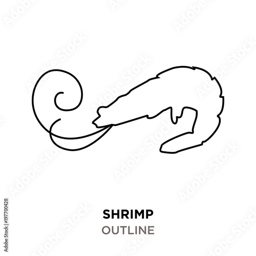shrimp outline on white background
