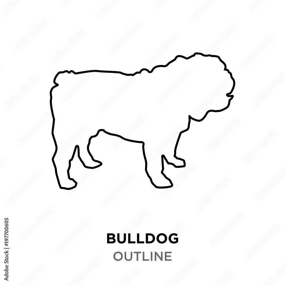 bulldog outline on white background bulldog outline on white background