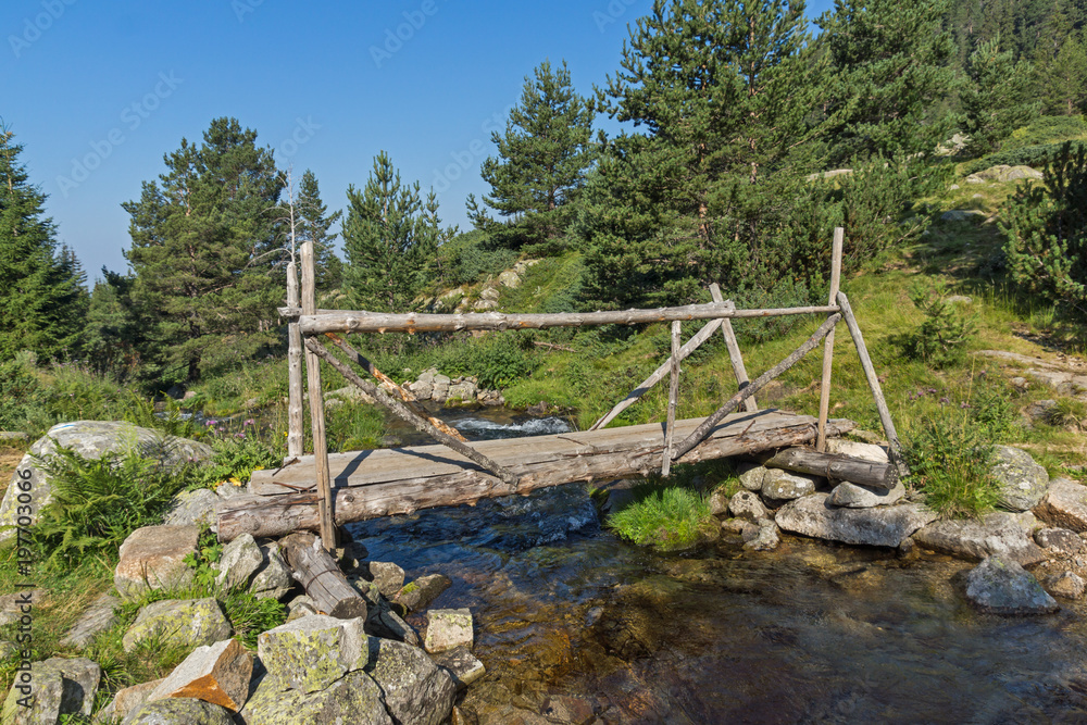 Landscape of Begovitsa River Valley, Pirin Mountain, Bulgaria Landscape of Begovitsa River Valley, Pirin Mountain, Bulgaria