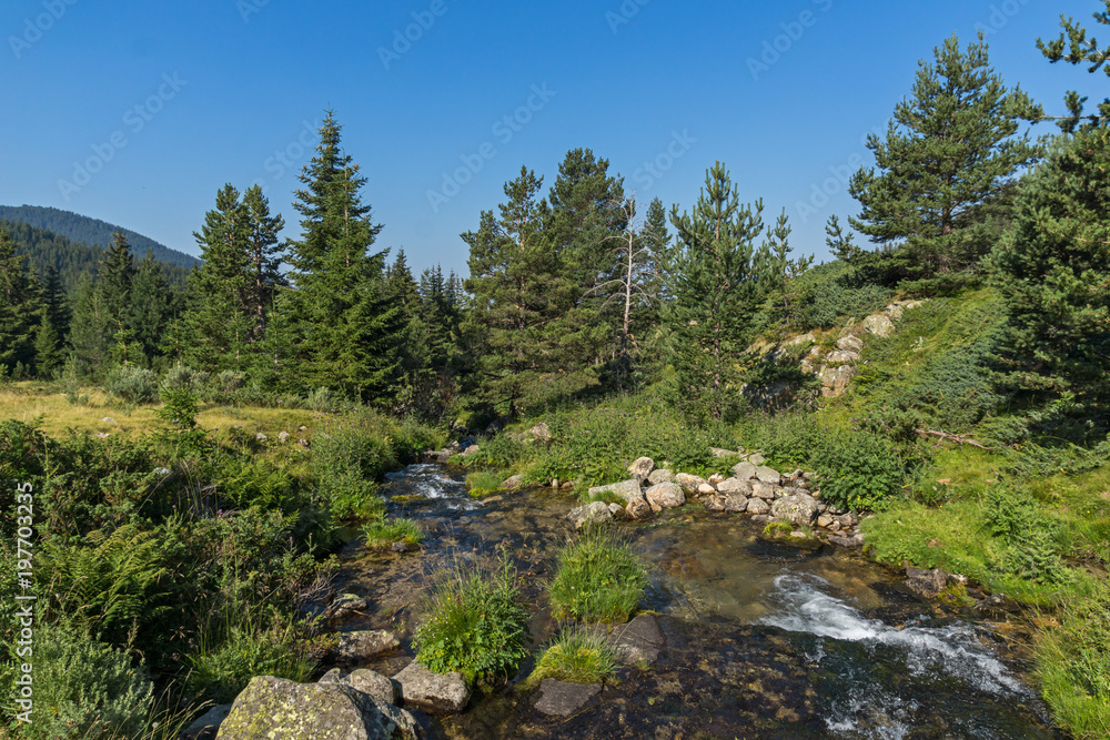 Obraz premium Landscape of Begovitsa River Valley, Pirin Mountain, Bulgaria