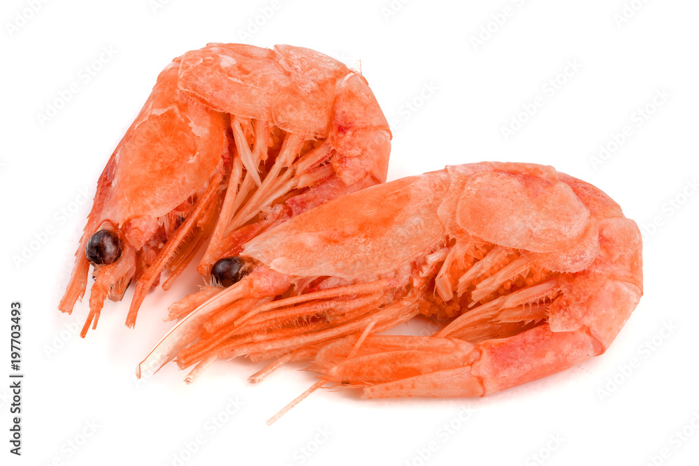 Red cooked prawn or shrimp isolated on white background Red cooked prawn or shrimp isolated on white background