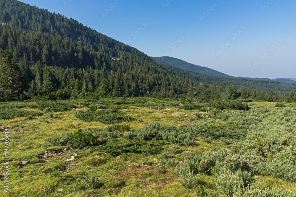 Landscape of Begovitsa River Valley, Pirin Mountain, Bulgaria
