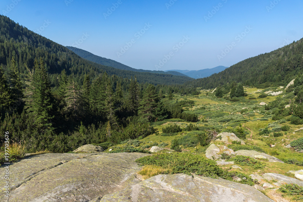 Landscape of Begovitsa River Valley, Pirin Mountain, Bulgaria