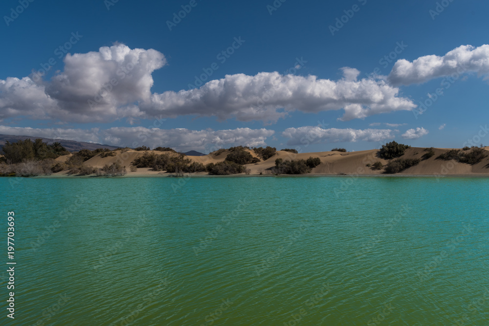 MASPALOMAS, GRAND CANARIA / SPAIN - FEBRUARY 20 2018: SAND DUNES AND MASPALOMAS BEACH ON SUNNY DAY MASPALOMAS, GRAND CANARIA / SPAIN - FEBRUARY 20 2018: SAND DUNES AND MASPALOMAS BEACH ON SUNNY DAY