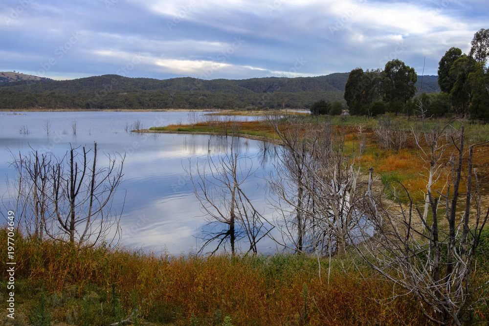 Lake, Trees and Grass at Sunset. Googong Dam, NSW Lake, Trees and Grass at Sunset. Googong Dam, NSW