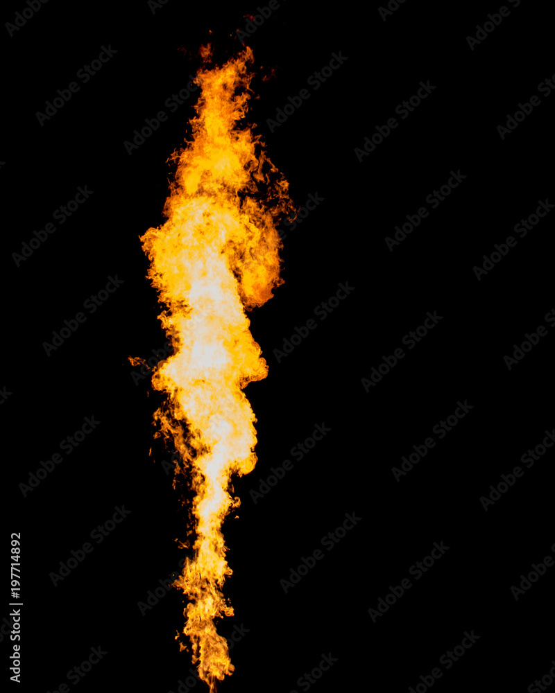 Isolated flame column. Fire tongue goes from gas burner.