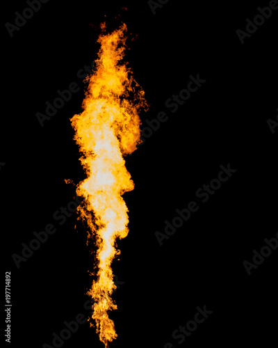 Isolated flame column. Fire tongue goes from gas burner.