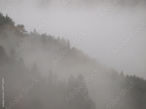 霧深い山