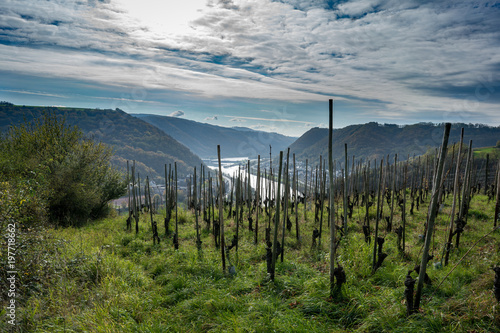 Blick auf die Mosel