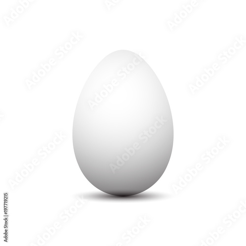 Easter Eggs white vector