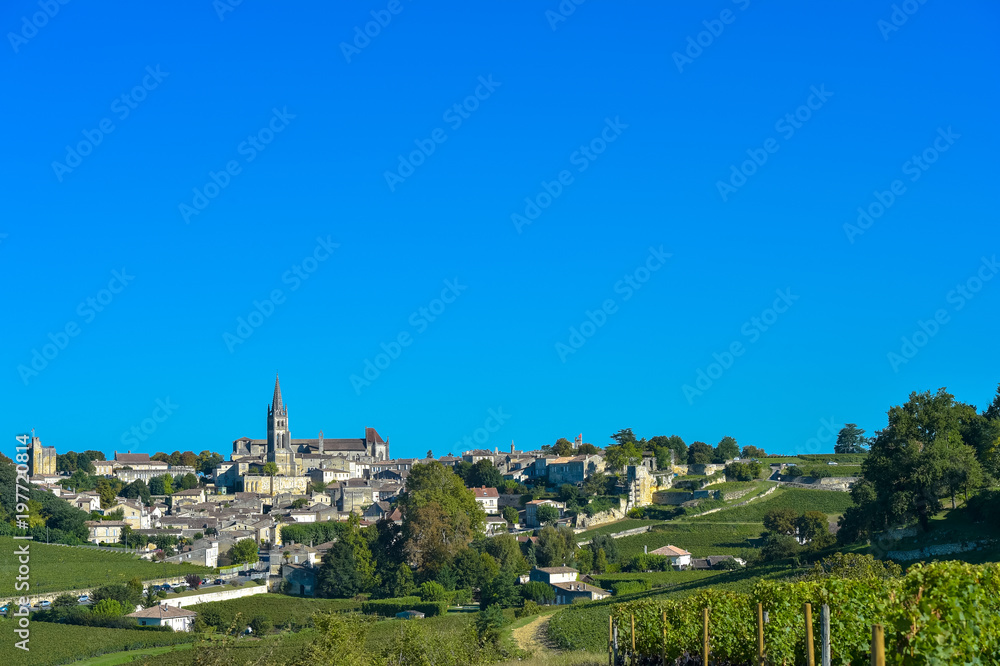Saint-Emilion-Vineyard landscape-Vineyard south west of France