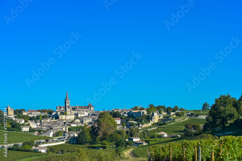 Saint-Emilion-Vineyard landscape-Vineyard south west of France